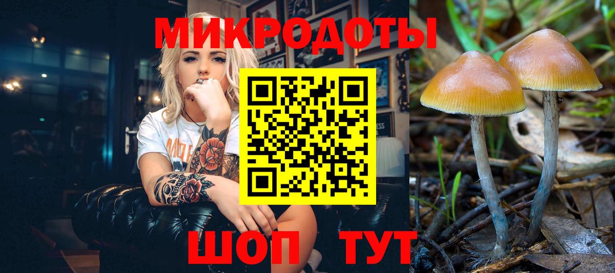Галлюциногенные грибы мицелий  что такое   Лысьва  Вход с VPN 